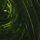 Sap Green